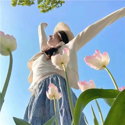 七圣伏魔 在线观看